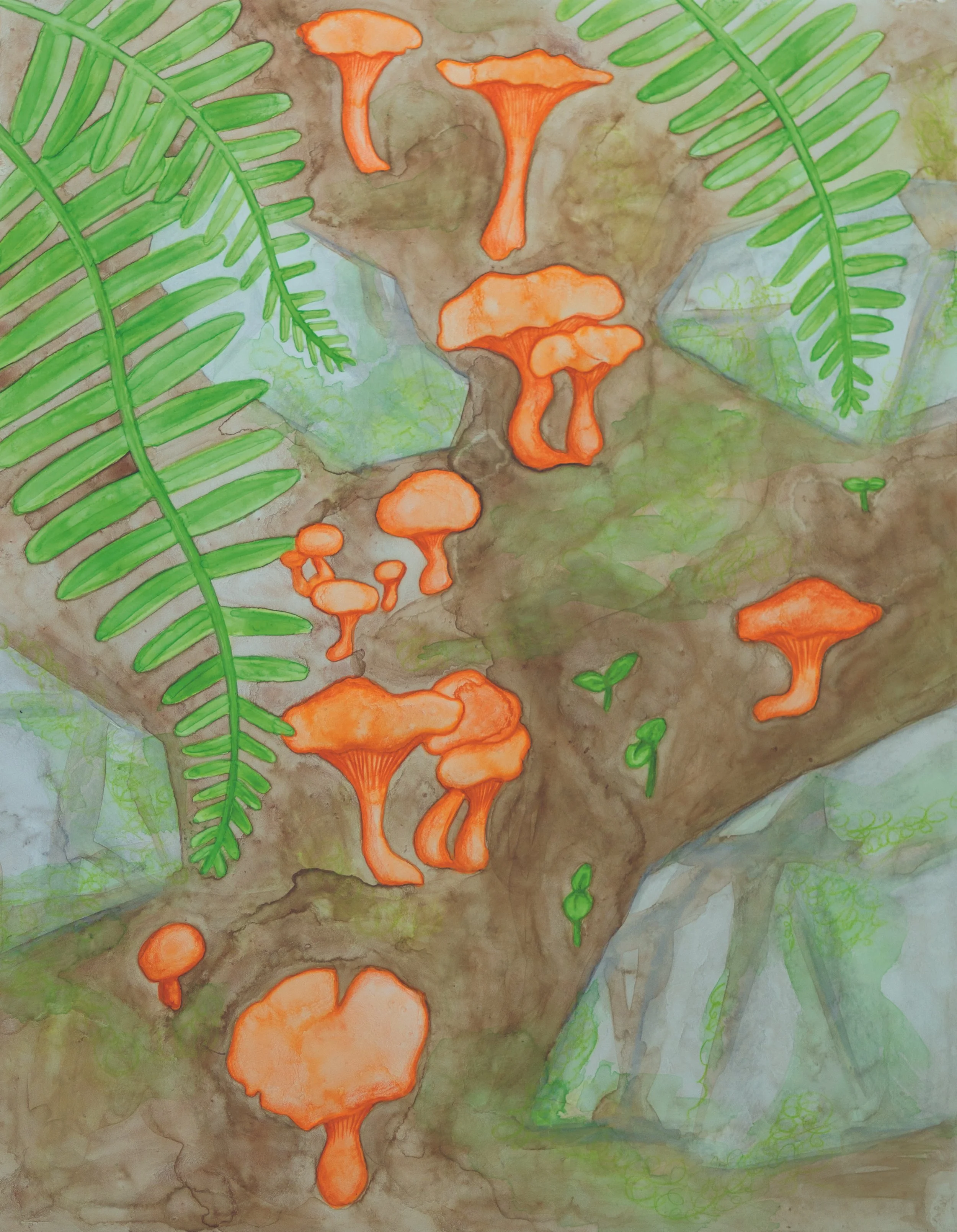 Illustration of vibrant orange mushrooms and green ferns on a forest floor.