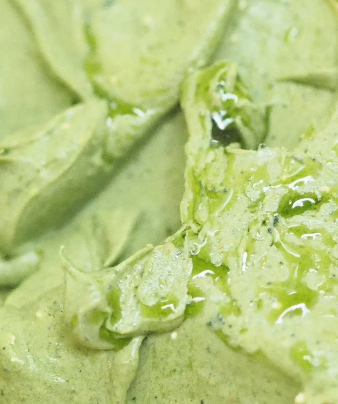 Close-up of green creamy mixture, possibly avocado or a sauce.