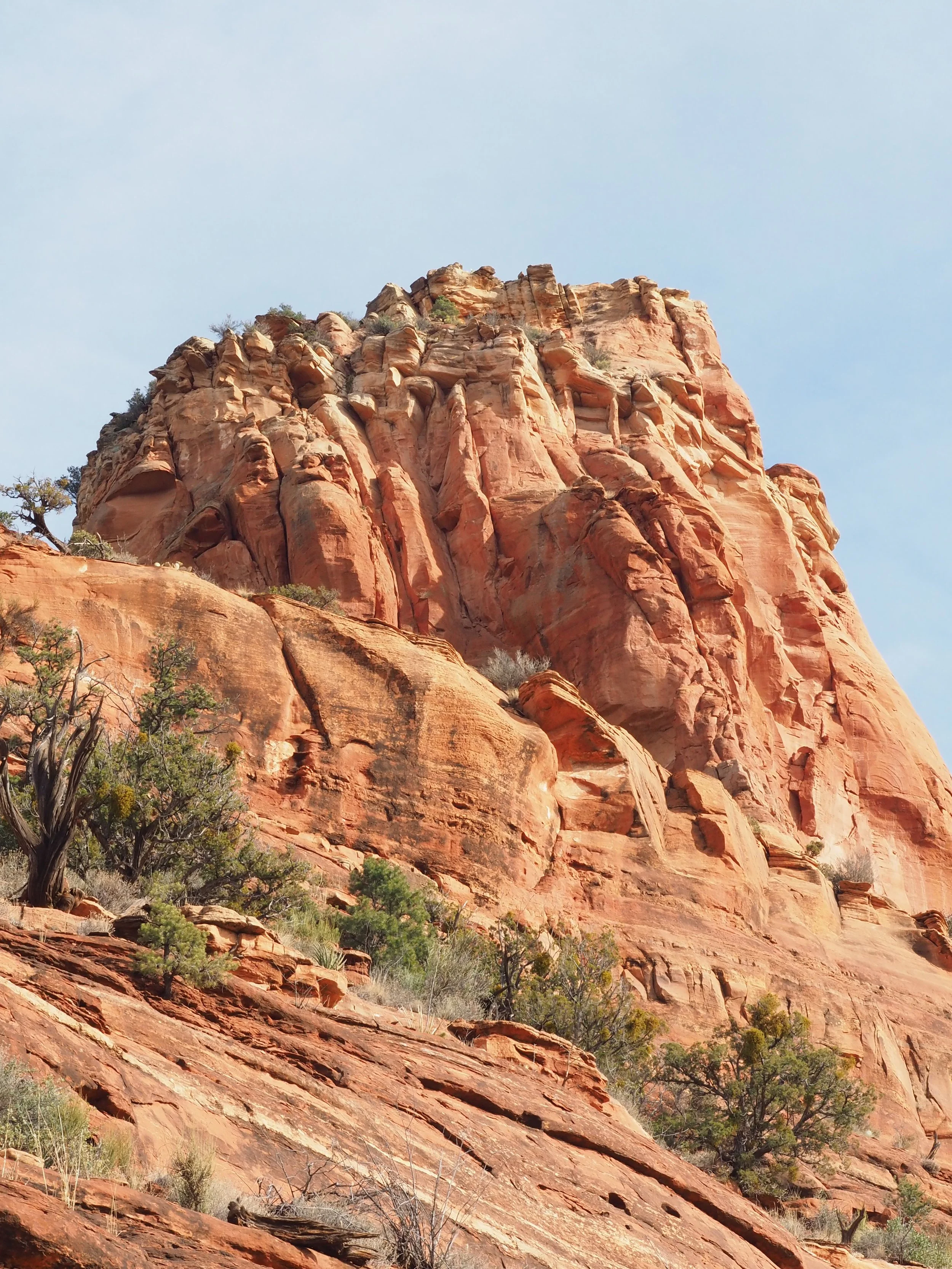 Red rock formation with sparse vegetation against a blue sky