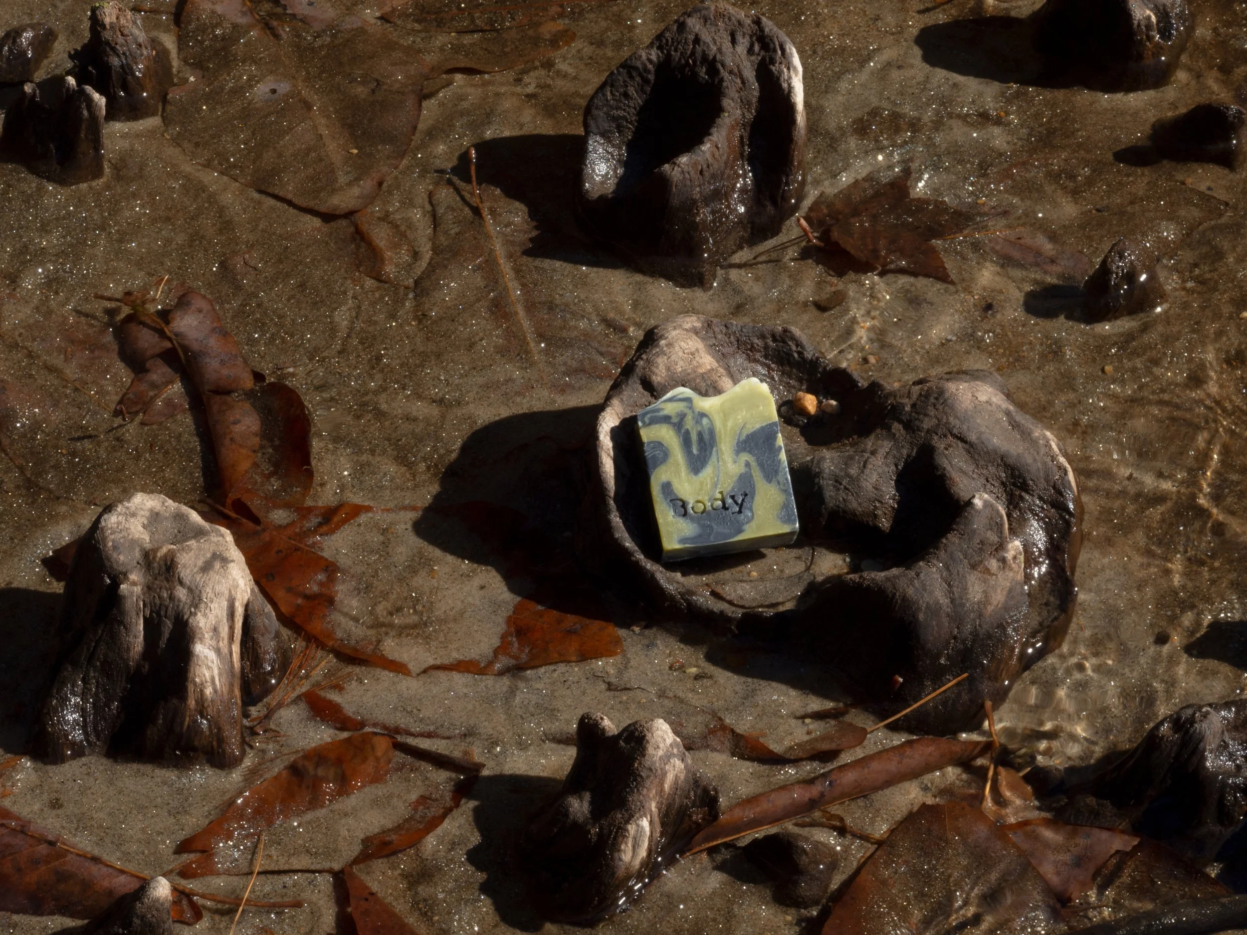 Bar of soap labeled 'Body' placed on a tree stump surrounded by muddy ground and fallen leaves.