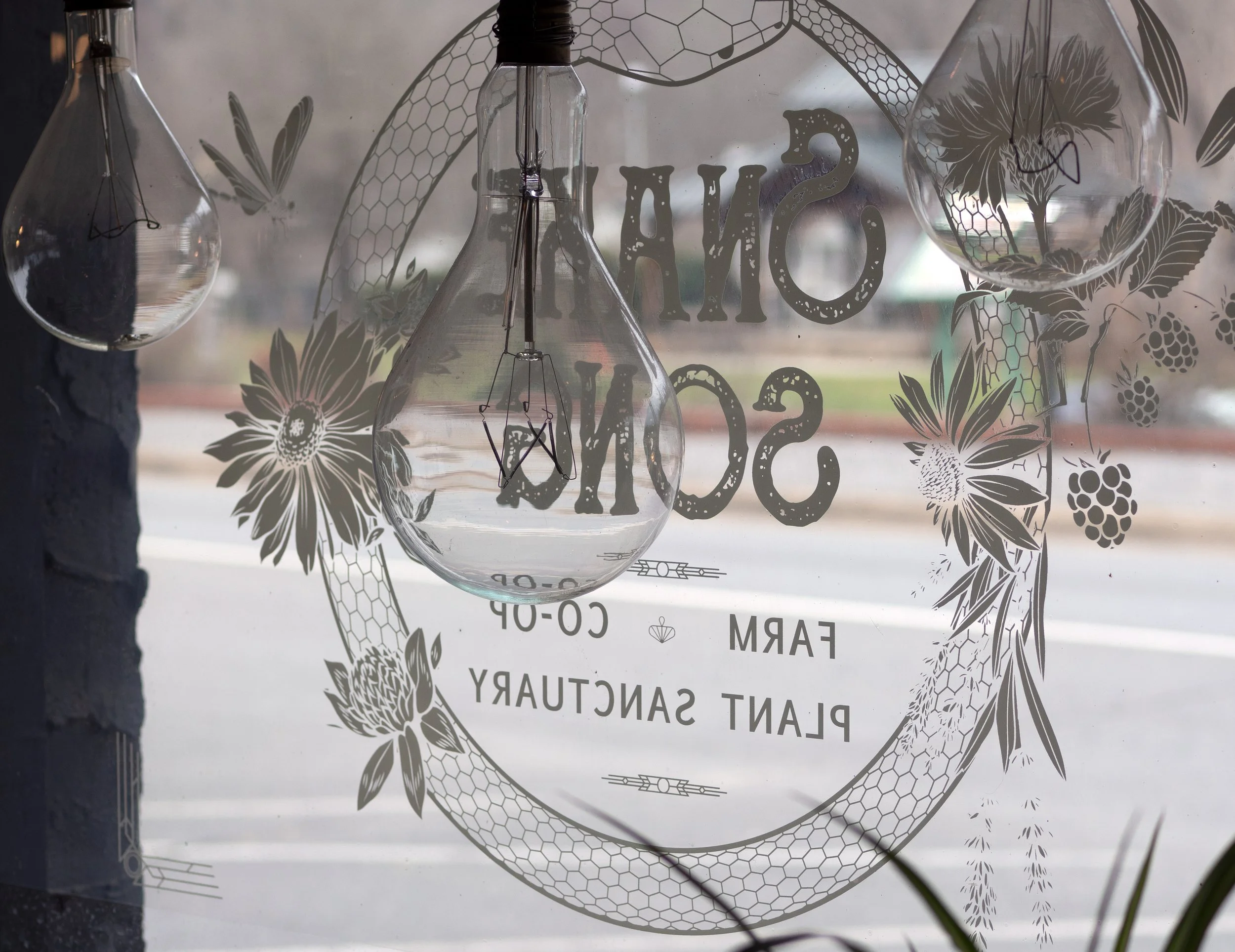 Decorative window with large light bulbs and floral designs.