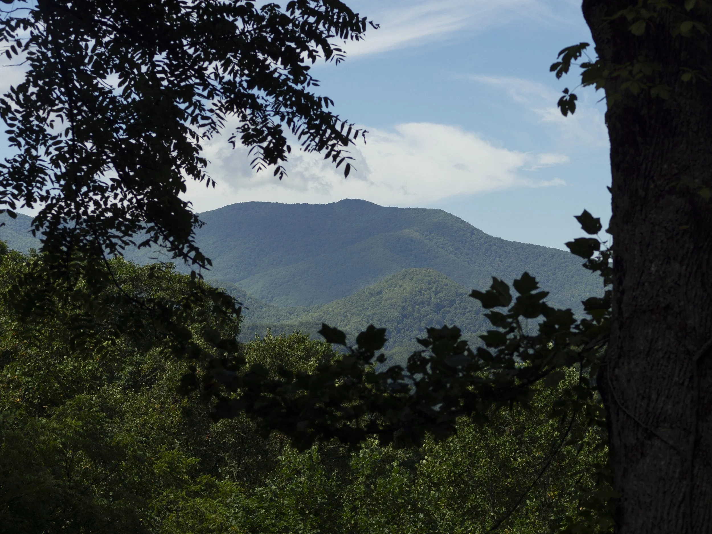 Scenic view of green, forested mountains framed by tree branches, under a partly cloudy sky.