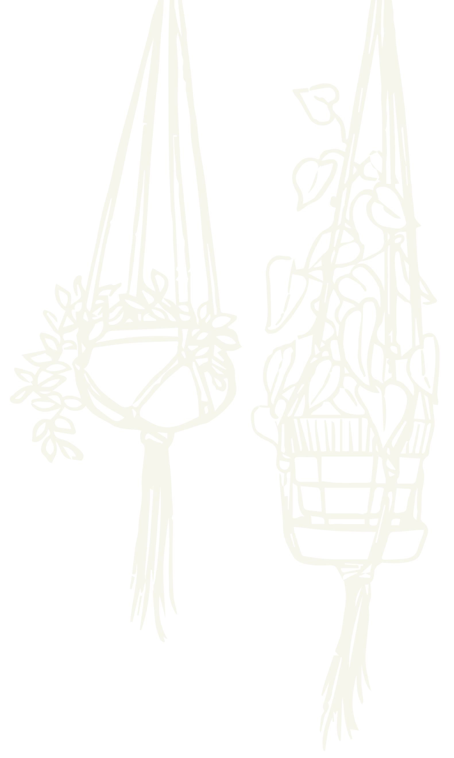 Illustration of two macramé plant hangers with potted plants.