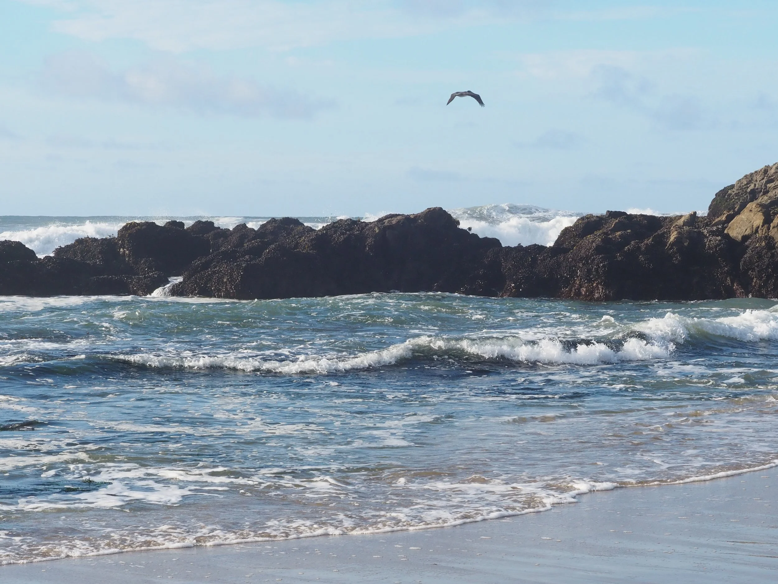 Ocean waves crashing against rocky shore with bird in sky.