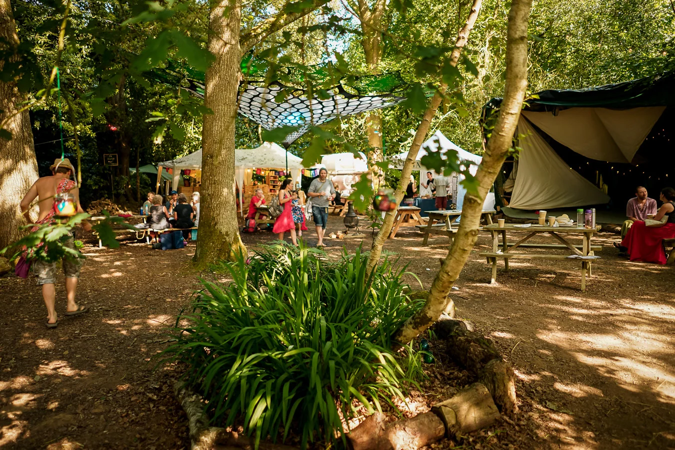 Pictures of Colourfest 2018 (at Gaunts House in Wimborne, Dorset)