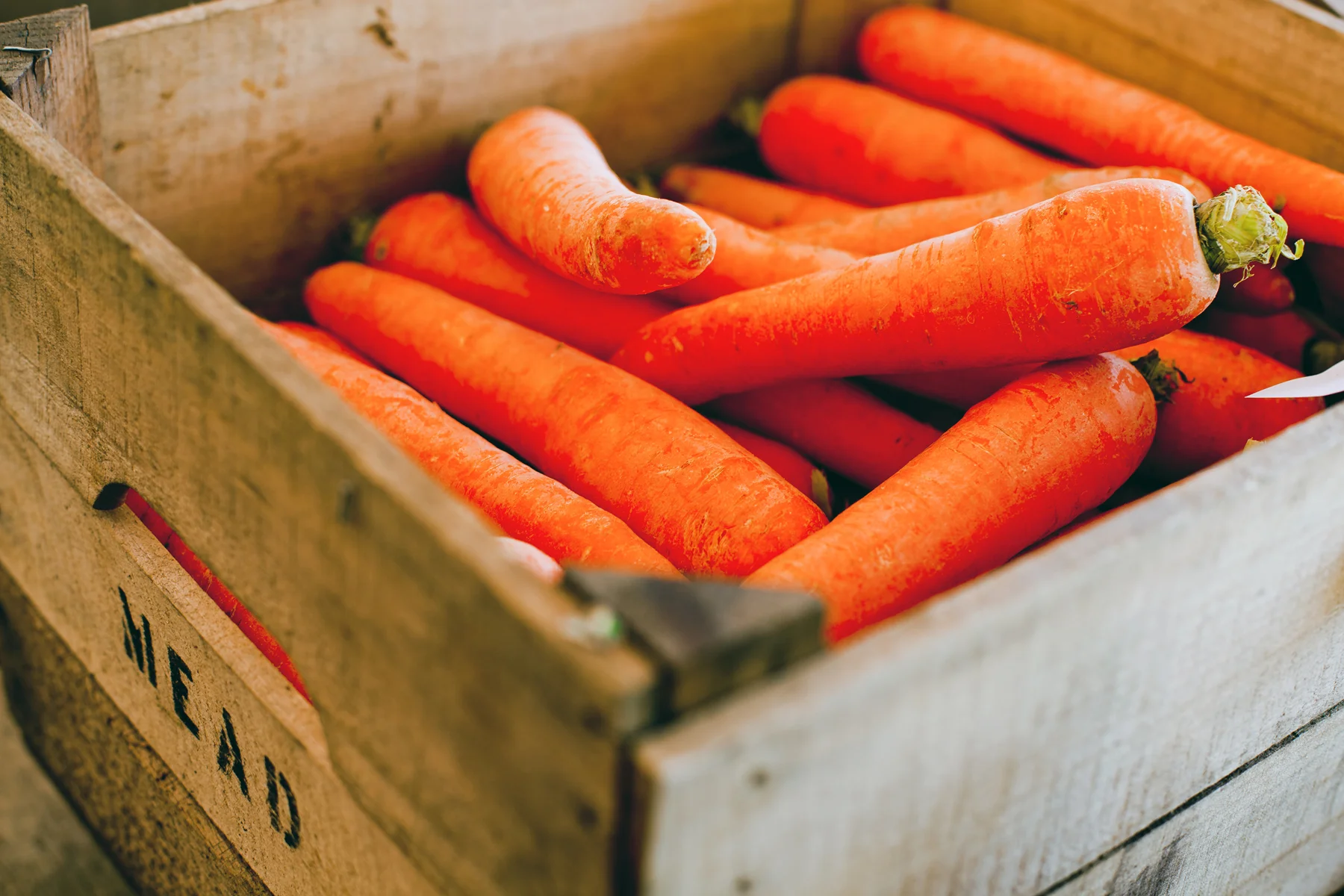 15_harvest.jpg