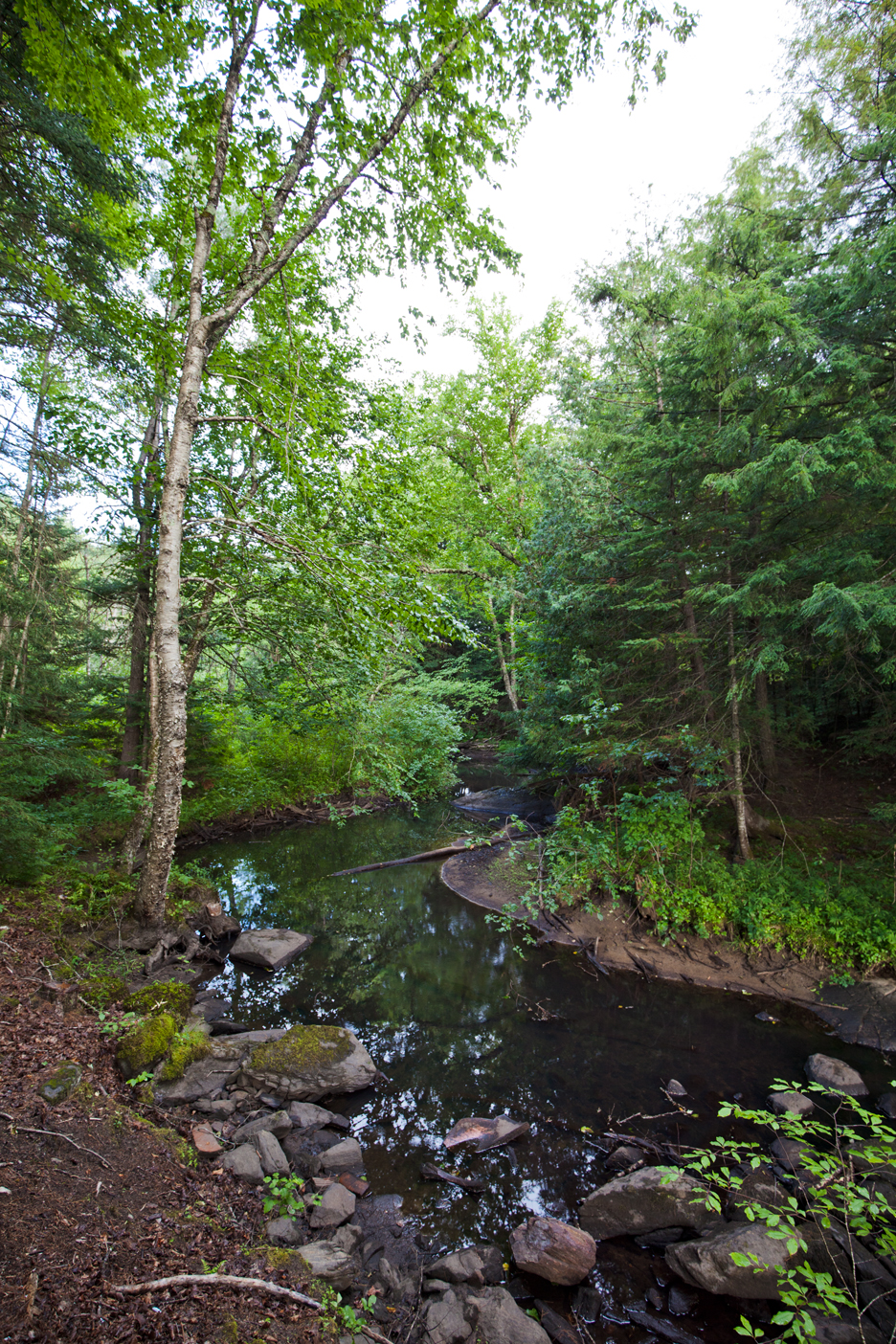 harris_adk_paradox_61.jpg