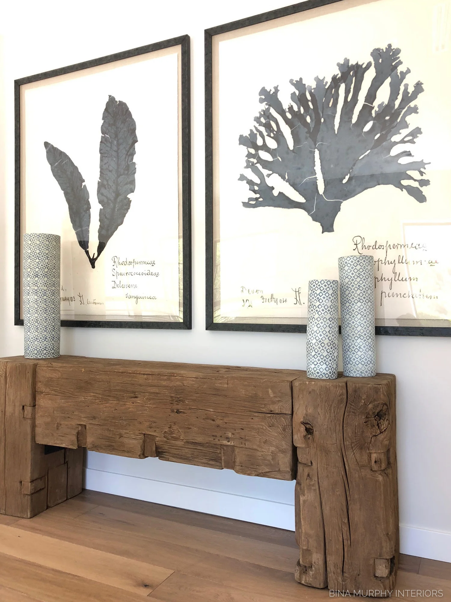 Bina-Murphy-Interiors-Waverly-01.jpg