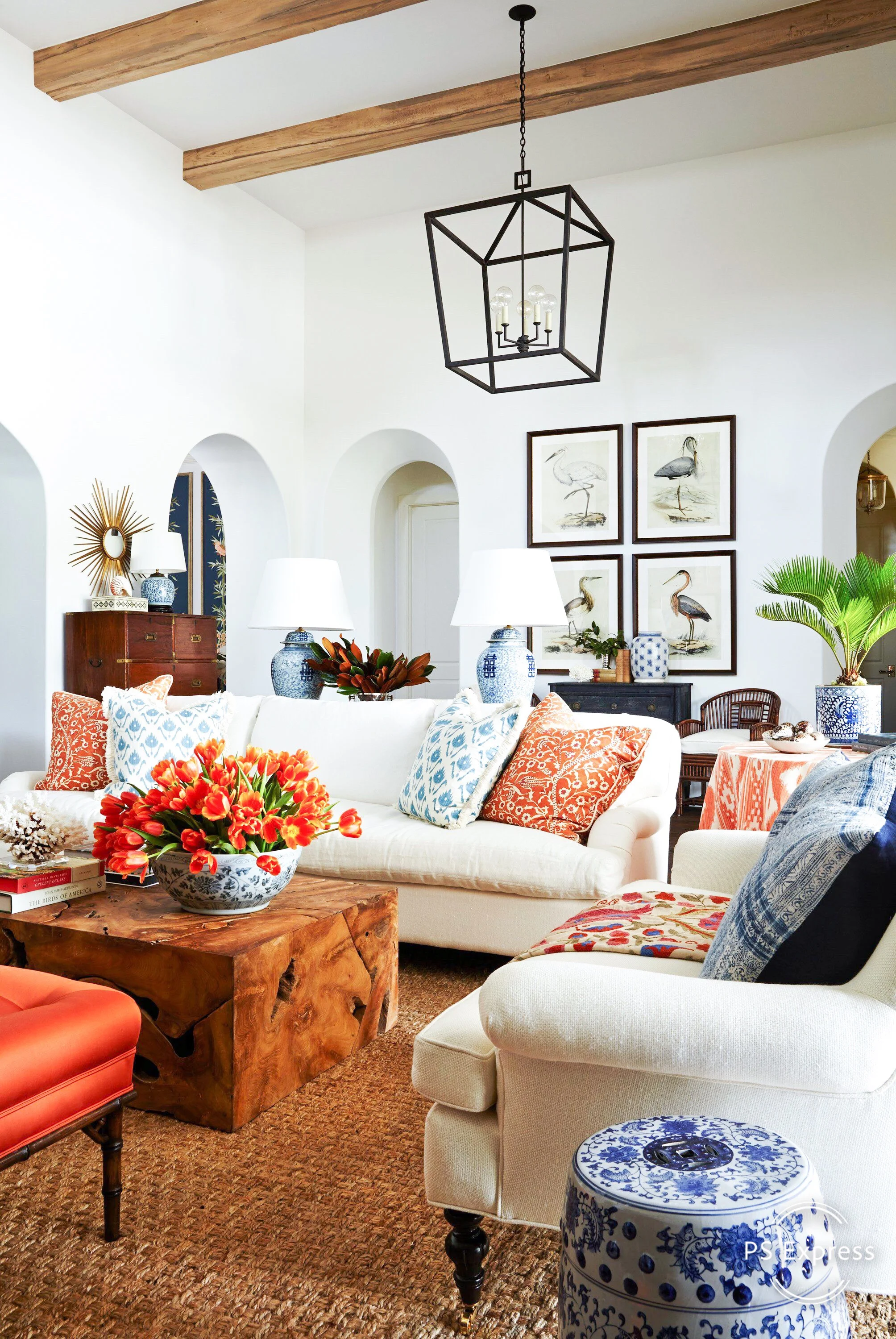 The Color of the Year