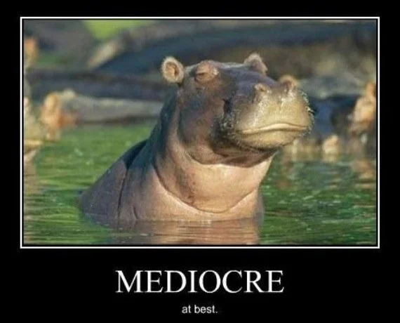 mediocre_ed46b8_1316163.jpg