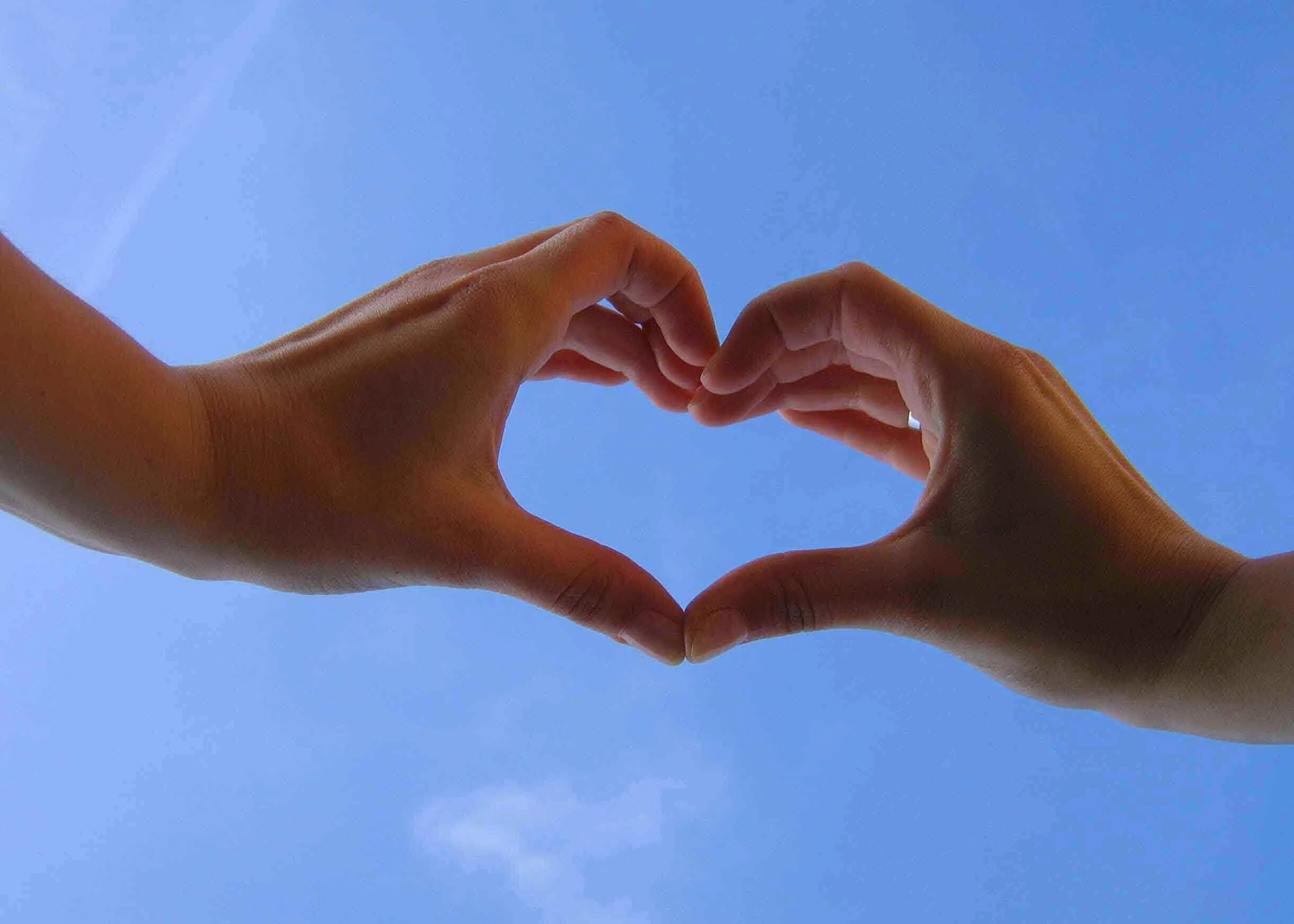 hand-in-heart-21.jpg