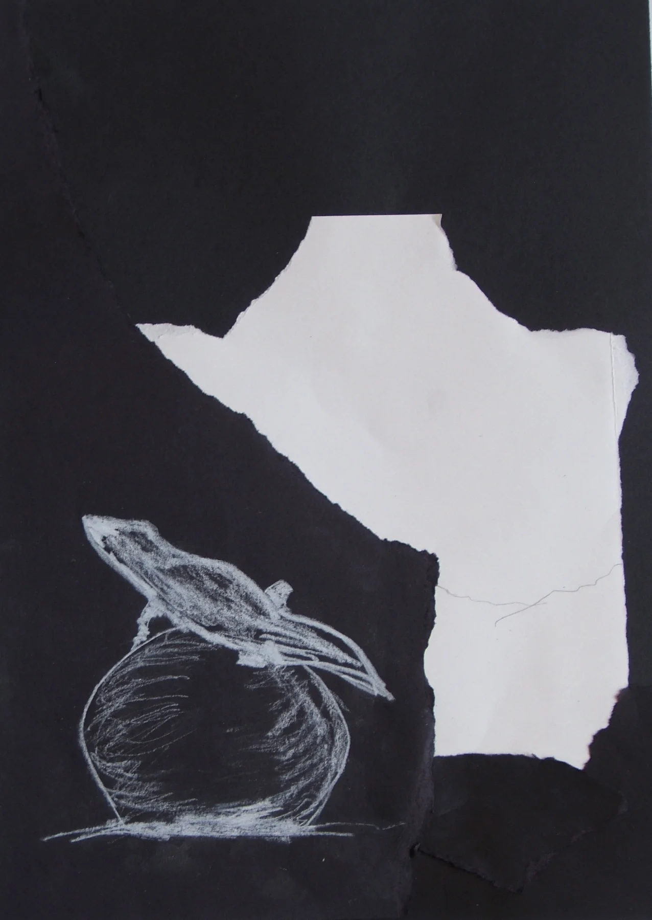 Kathy Neece collage and sketch with white pencil from 2013 Ghost Ranch class 