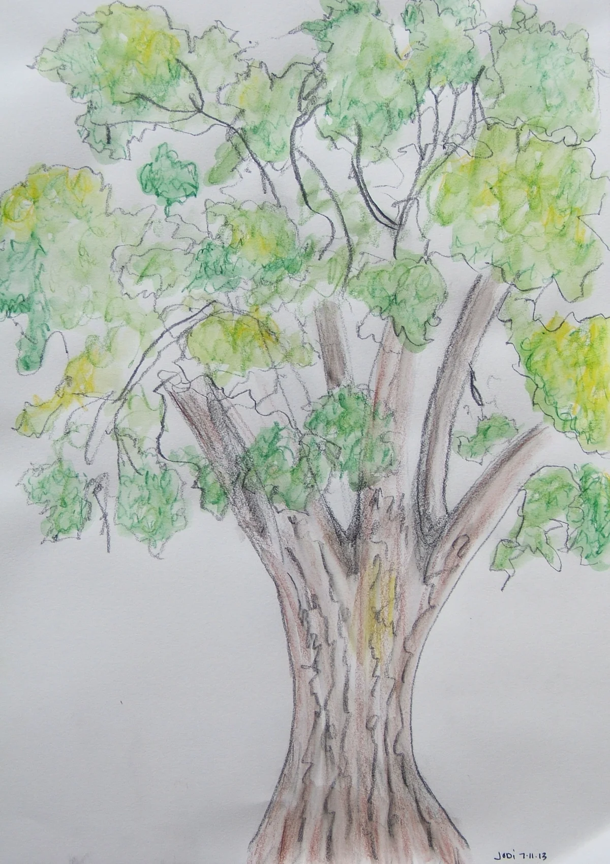 Jodi Wert colored pencil and watercolor from 2013 Ghost Ranch class 