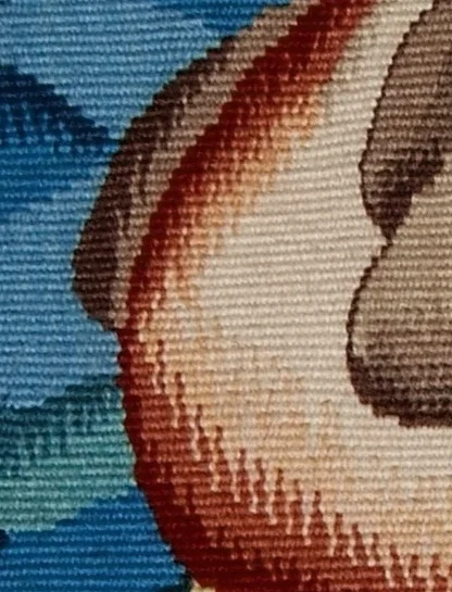 Pelican study detail