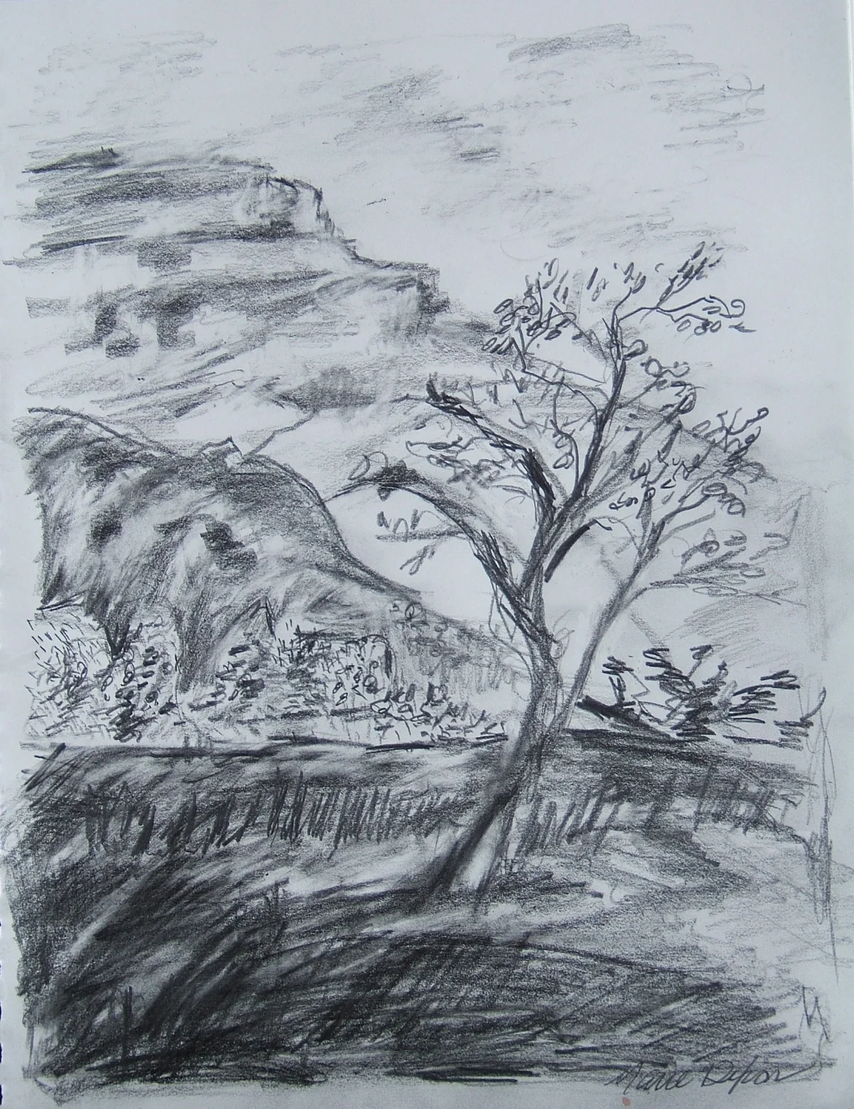 Tree and Mesa drawing by Marie Dixon 2013 Drawing as Meditation class at Ghost Ranch