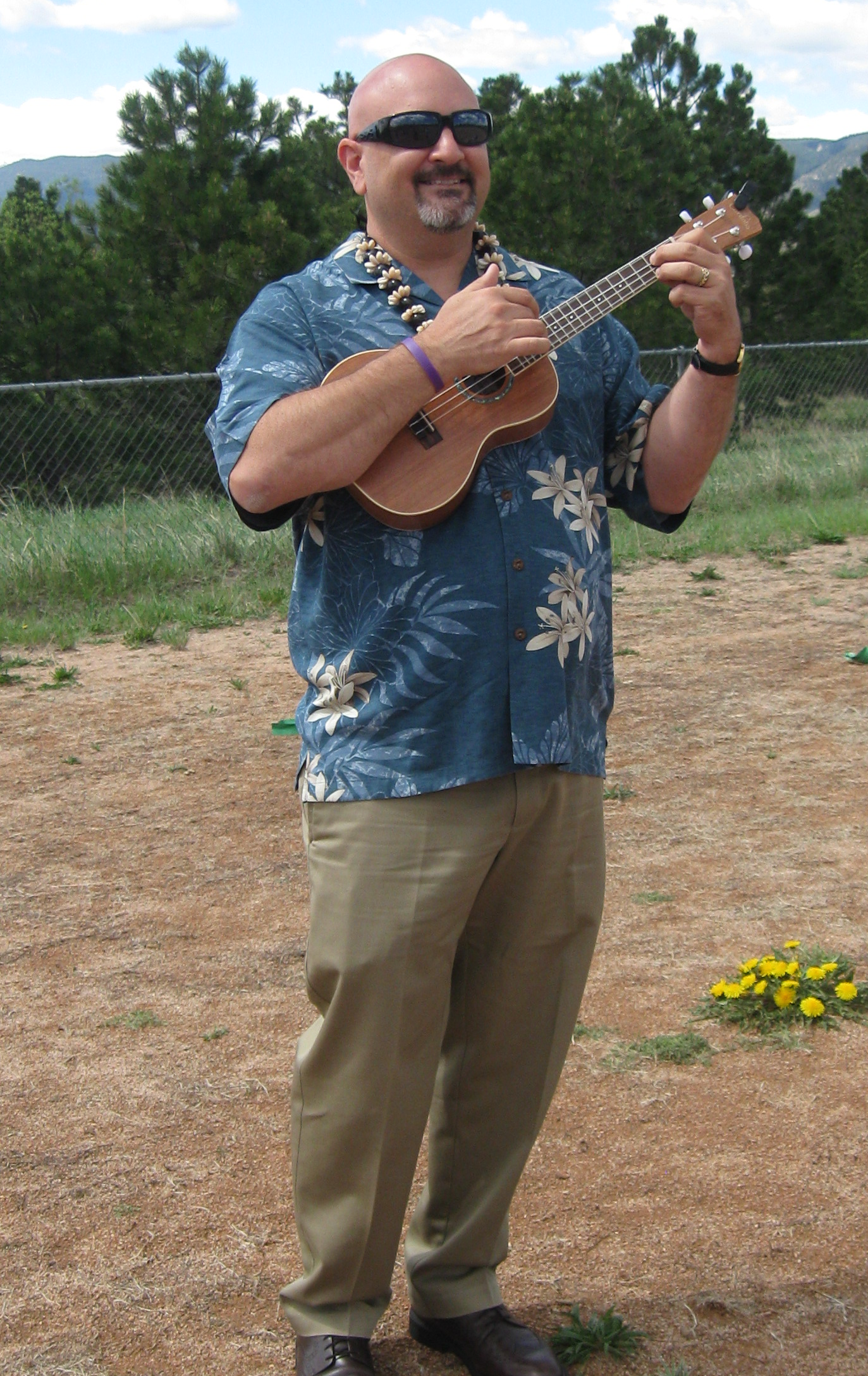 tim-ukelele-big.png