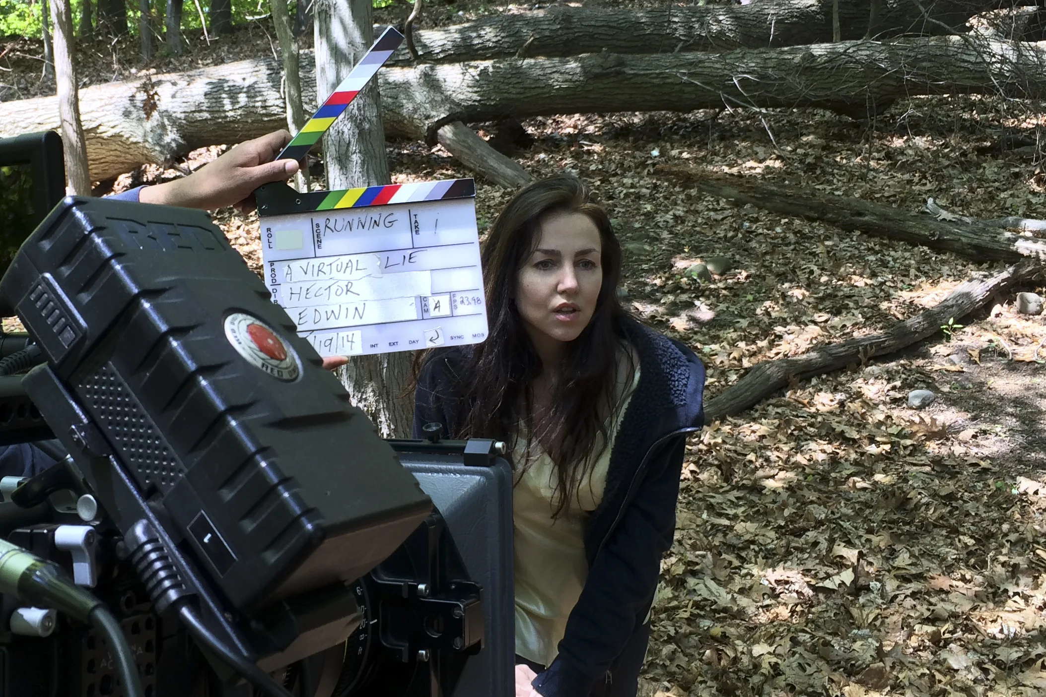 Vistual Lie Park_1.JPG