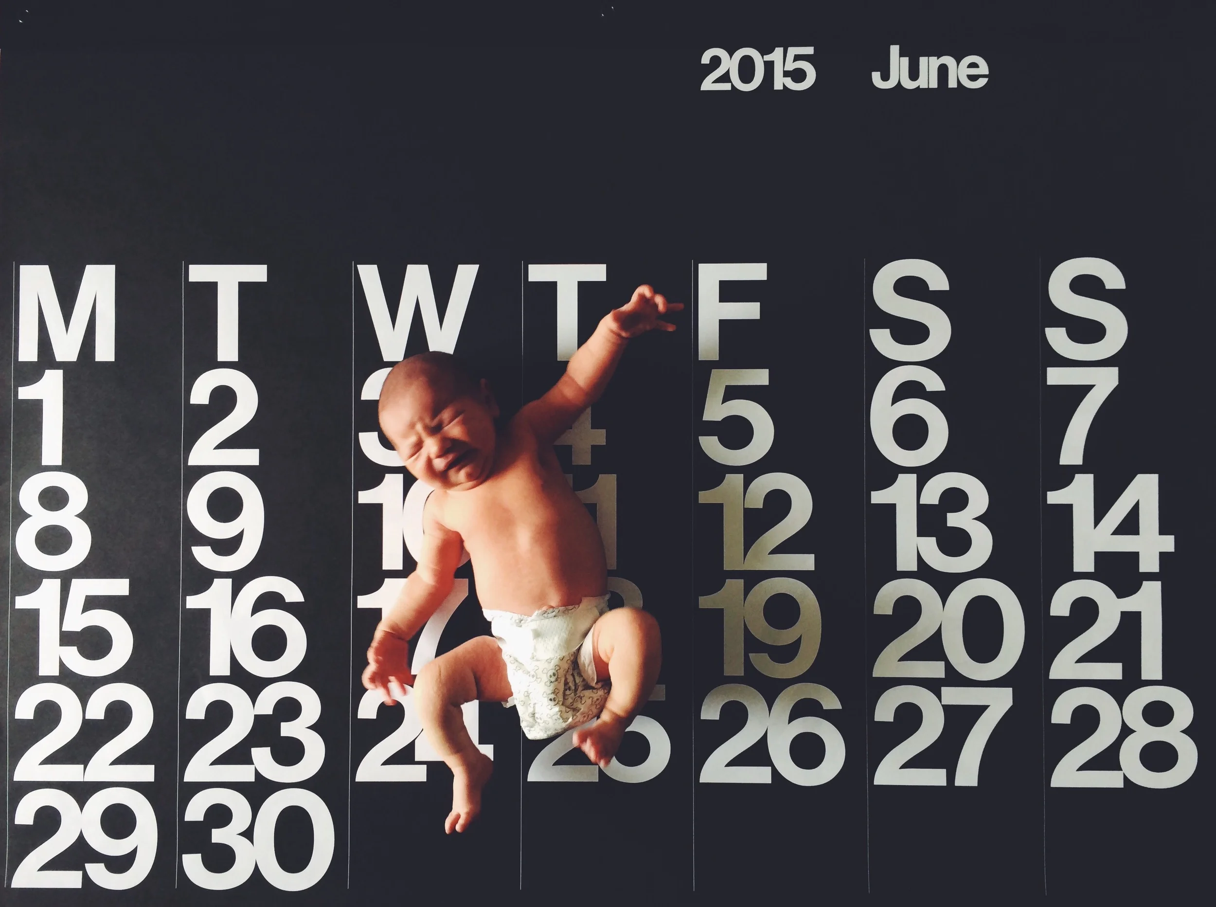 Finch at 1 week