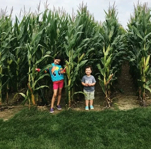 Field of Dreams Movie Site