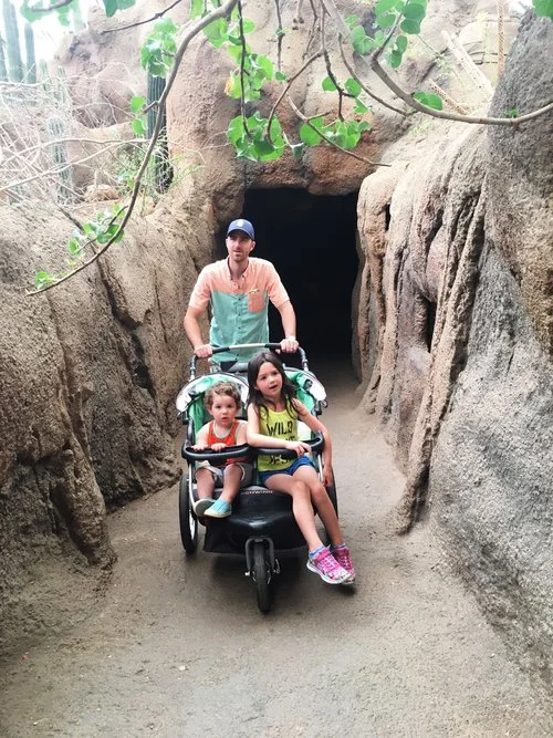 Omaha's Henry Doorly Zoo & Aquarium