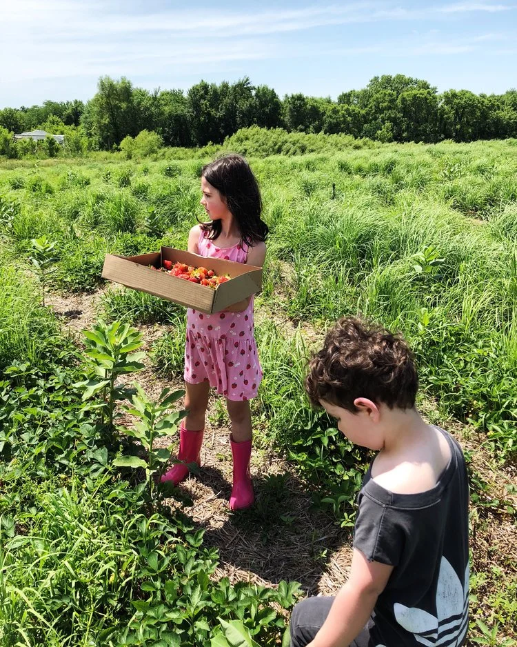 summer bucket list 2018