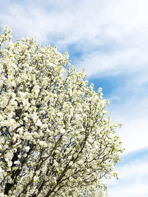 30 things I'm grateful for this April