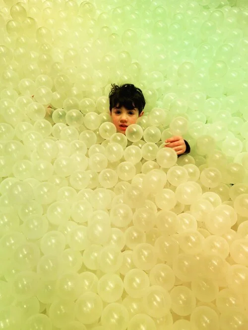 Finch says funny things / 4