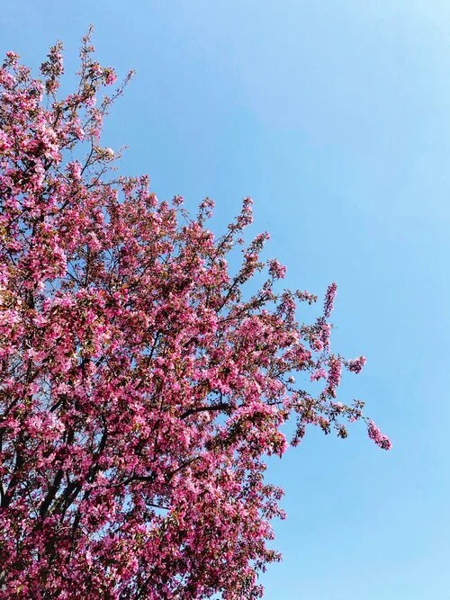 30 things I’m grateful for in April