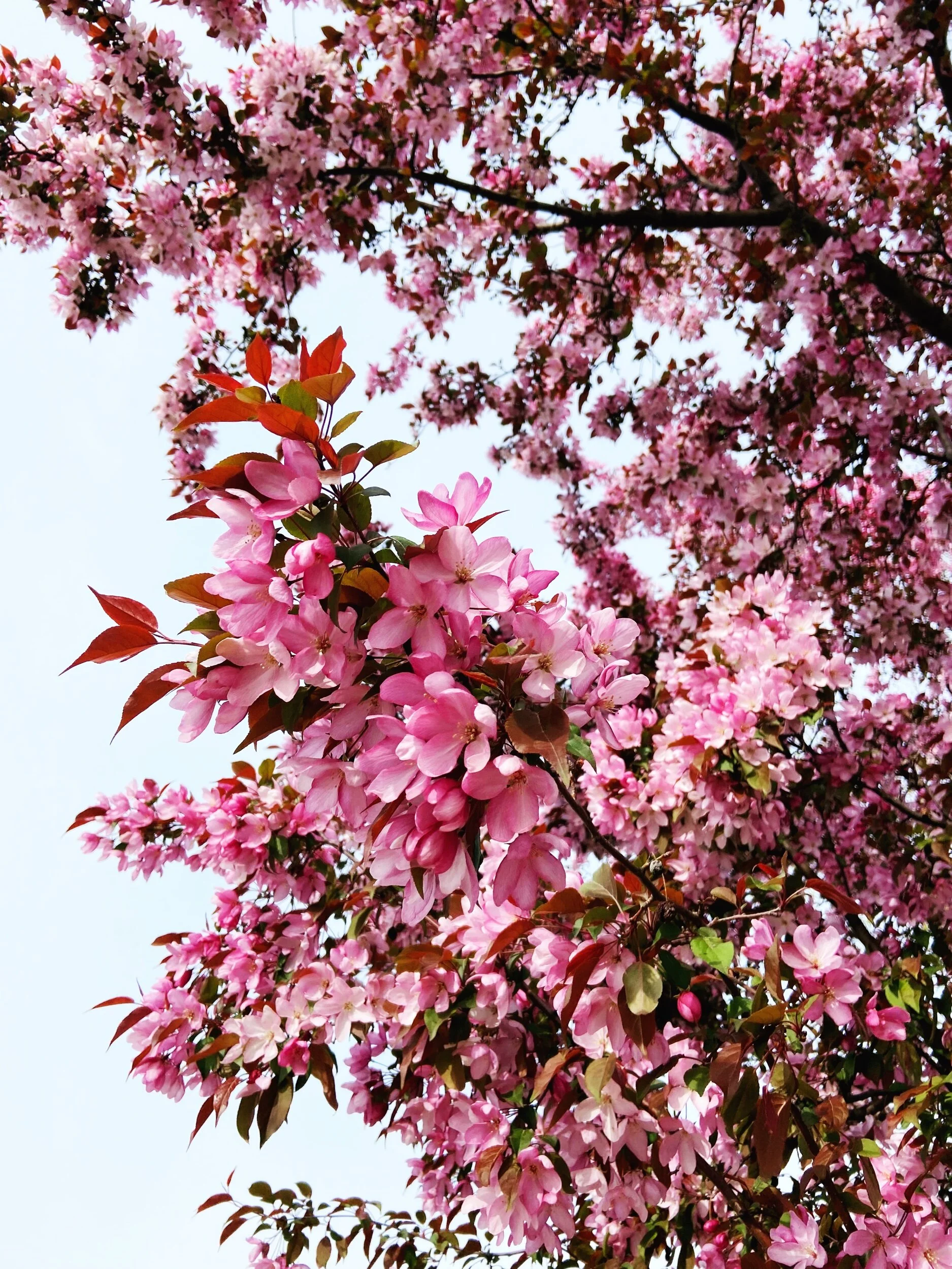 30 things I’m grateful for in April