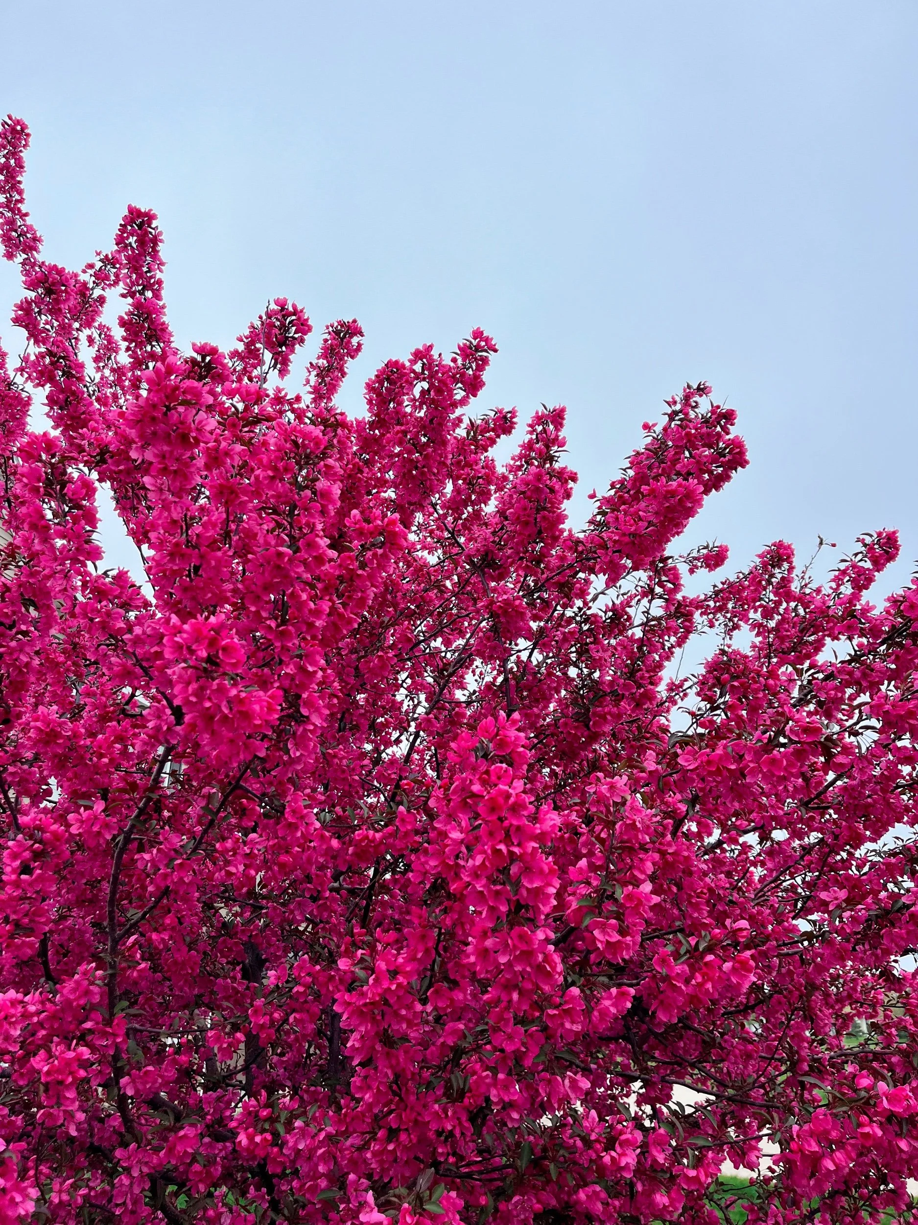 31 things I'm grateful for in May