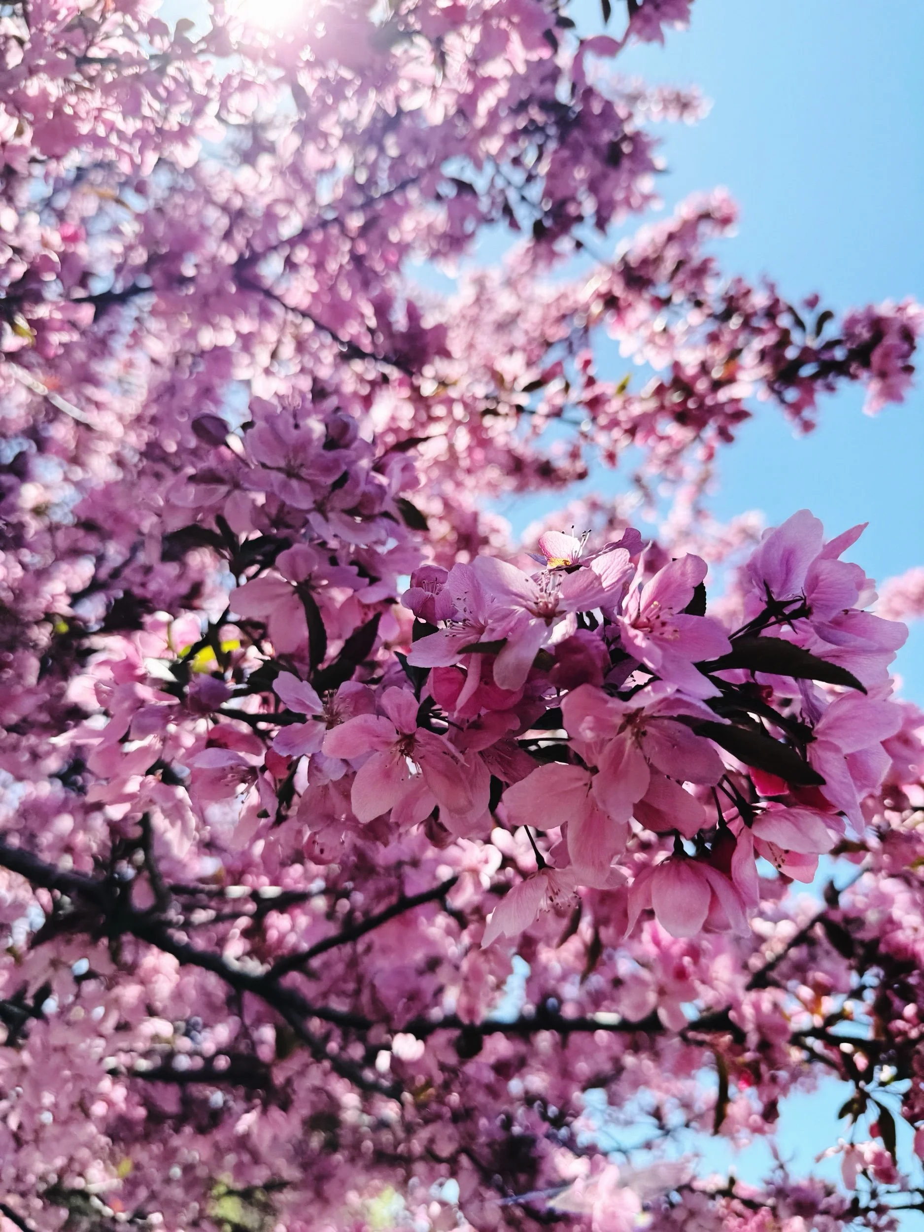 30 things I’m grateful for in April