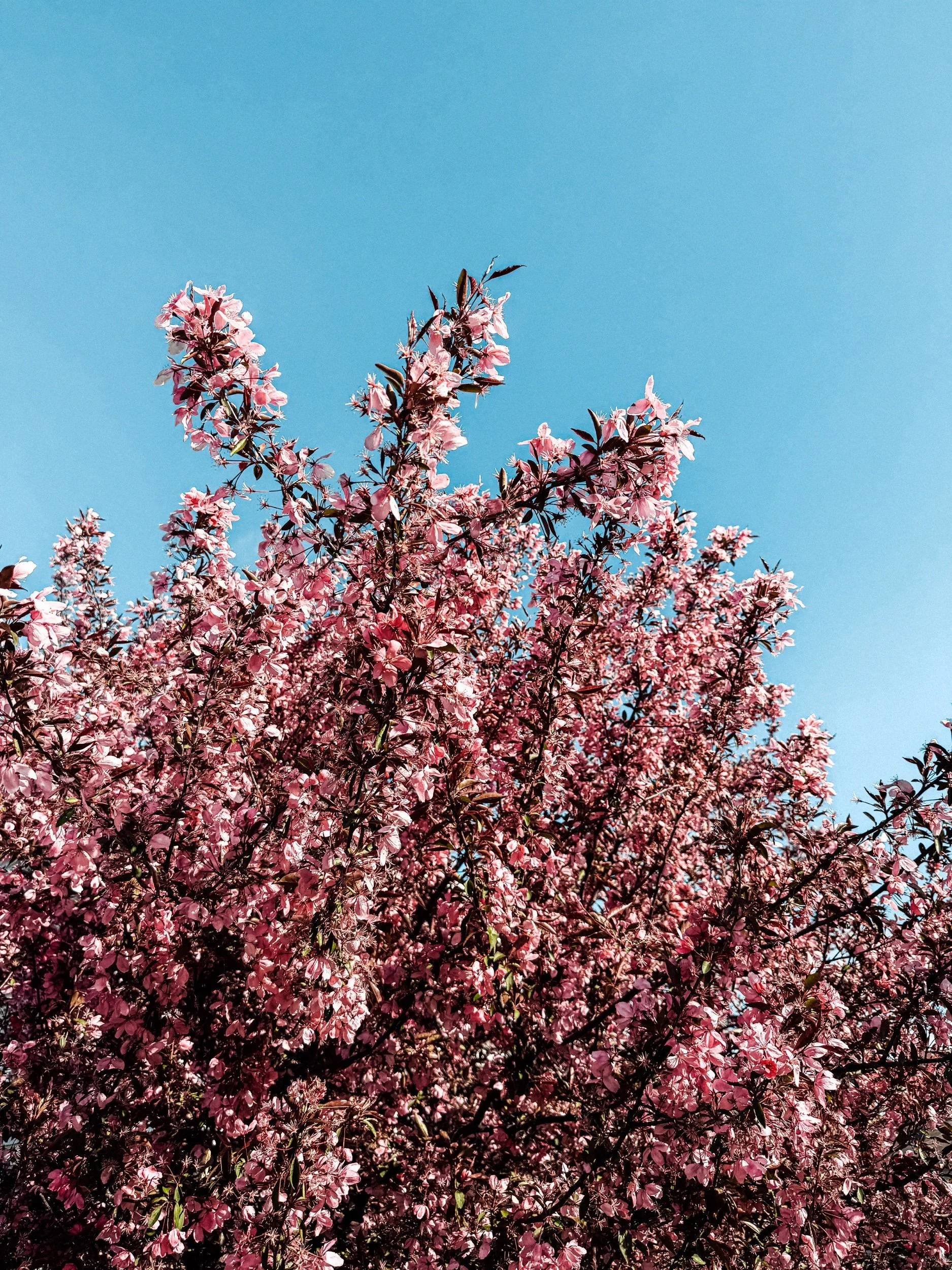 30+ things I’m grateful for in April