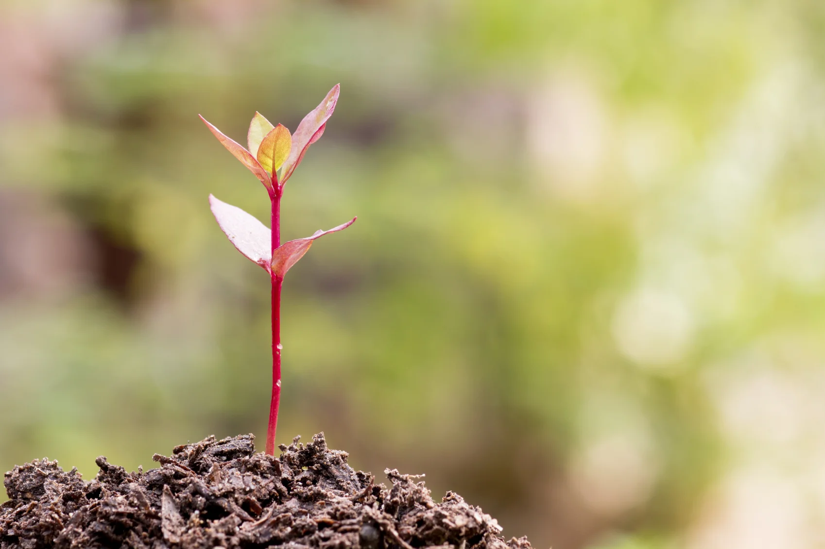 GET READY FOR SPRING!