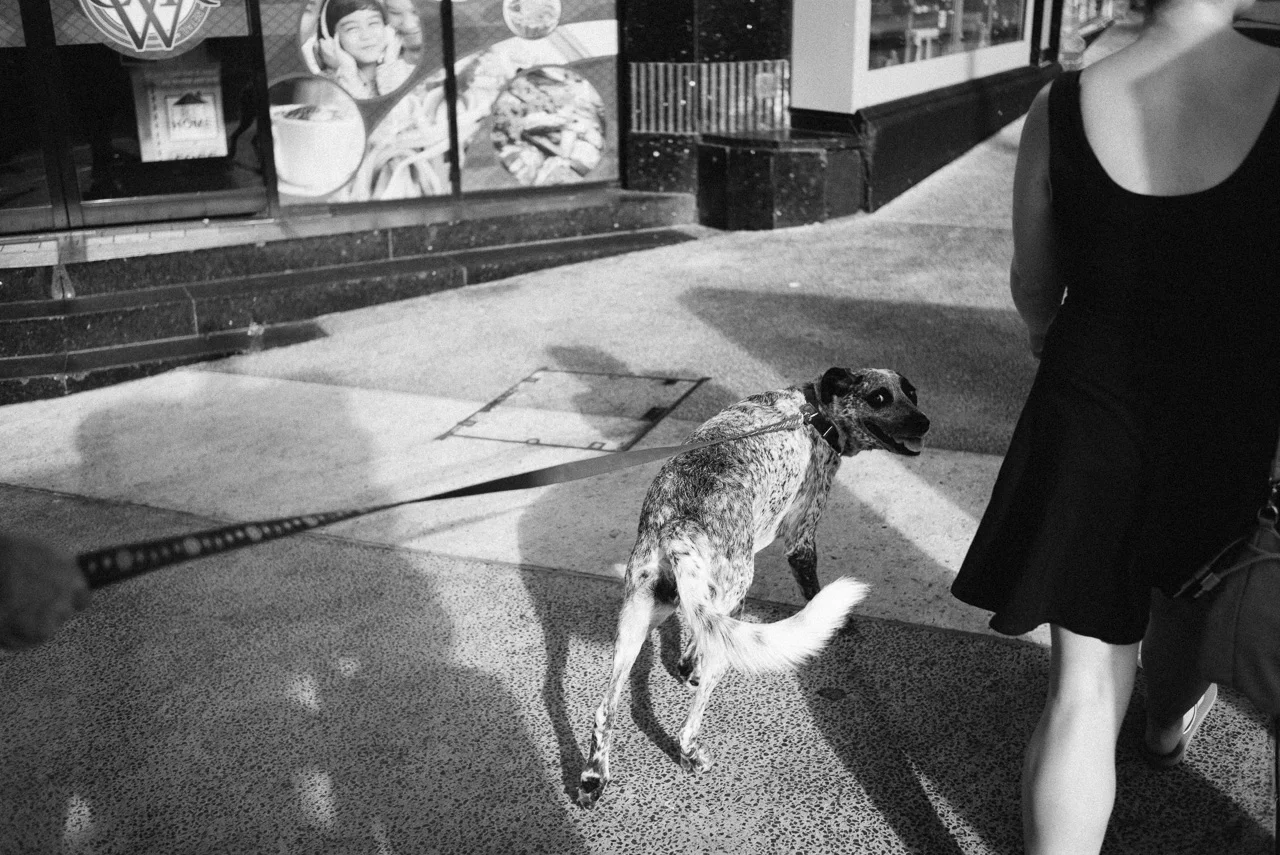 150215_163117.jpg