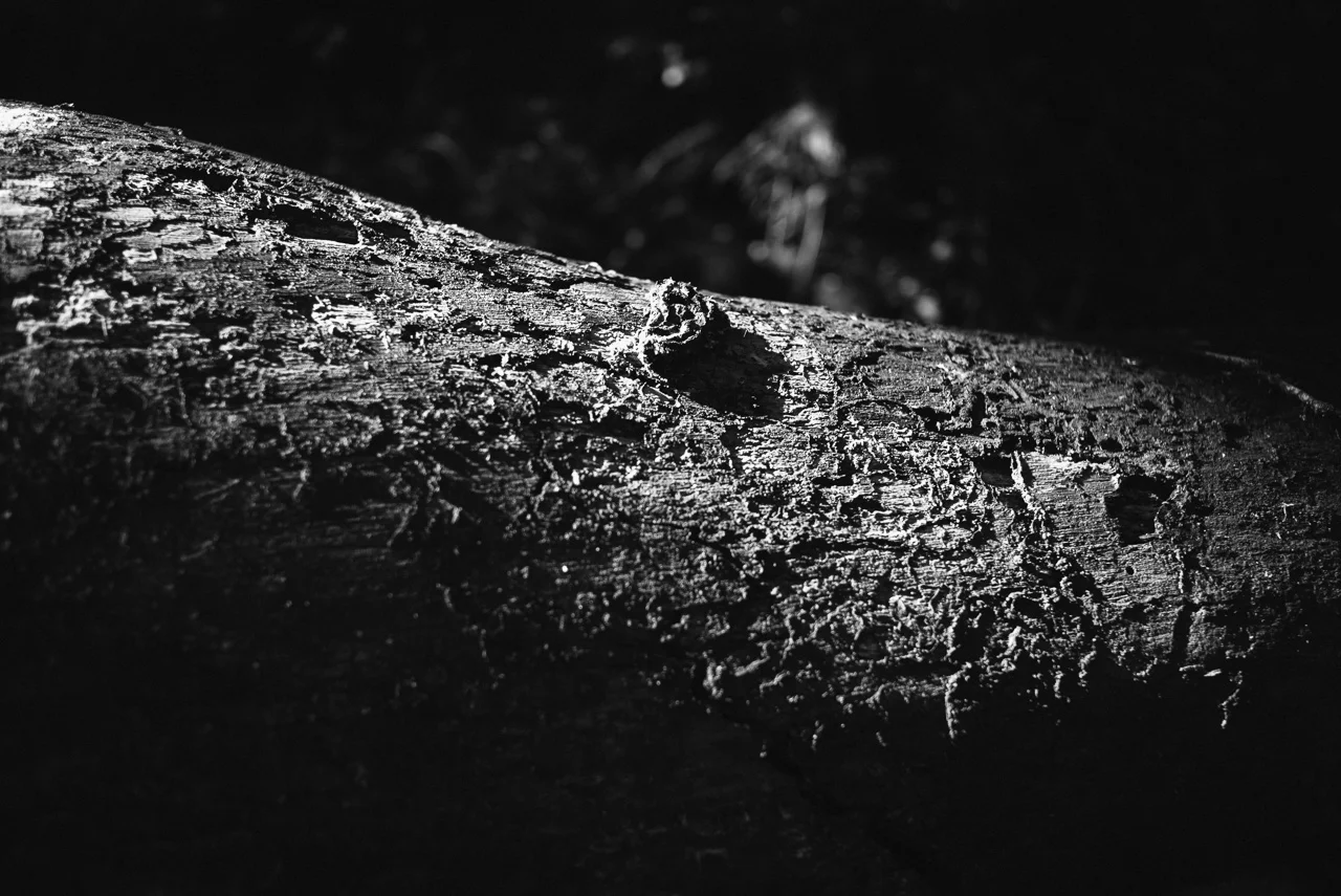 150712_113809.jpg