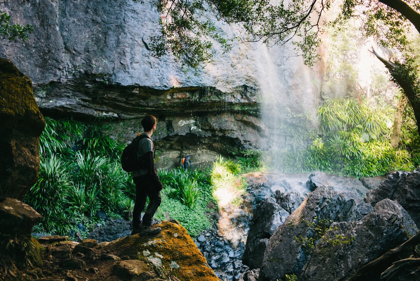 Springbrook Warrie Circuit