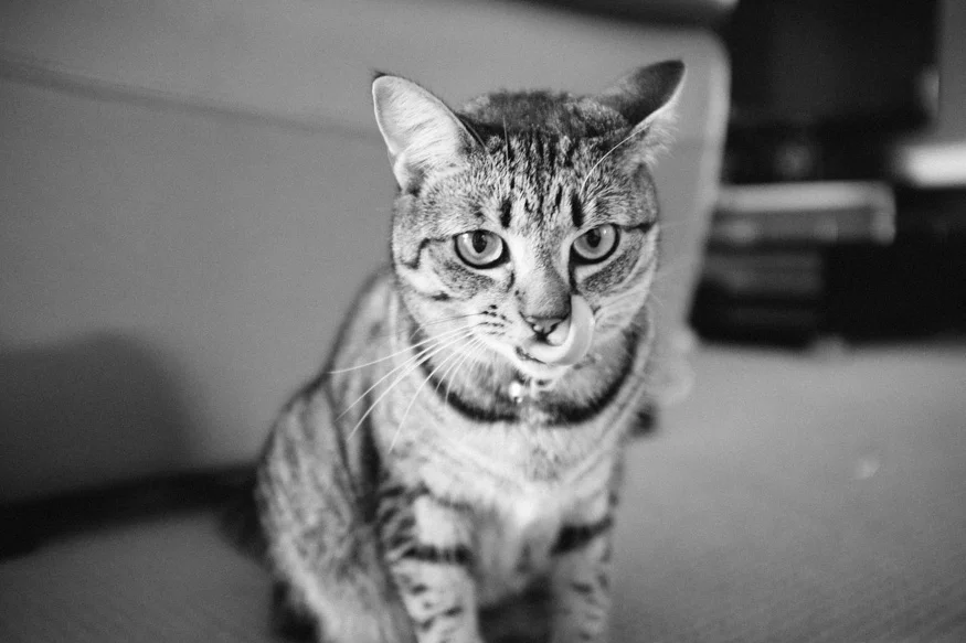 140308_01.jpg