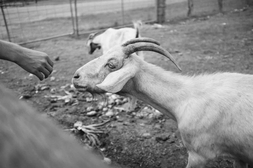 140308_05.jpg
