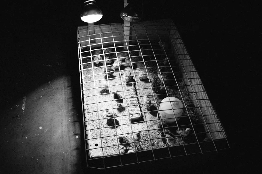 140308_17.jpg