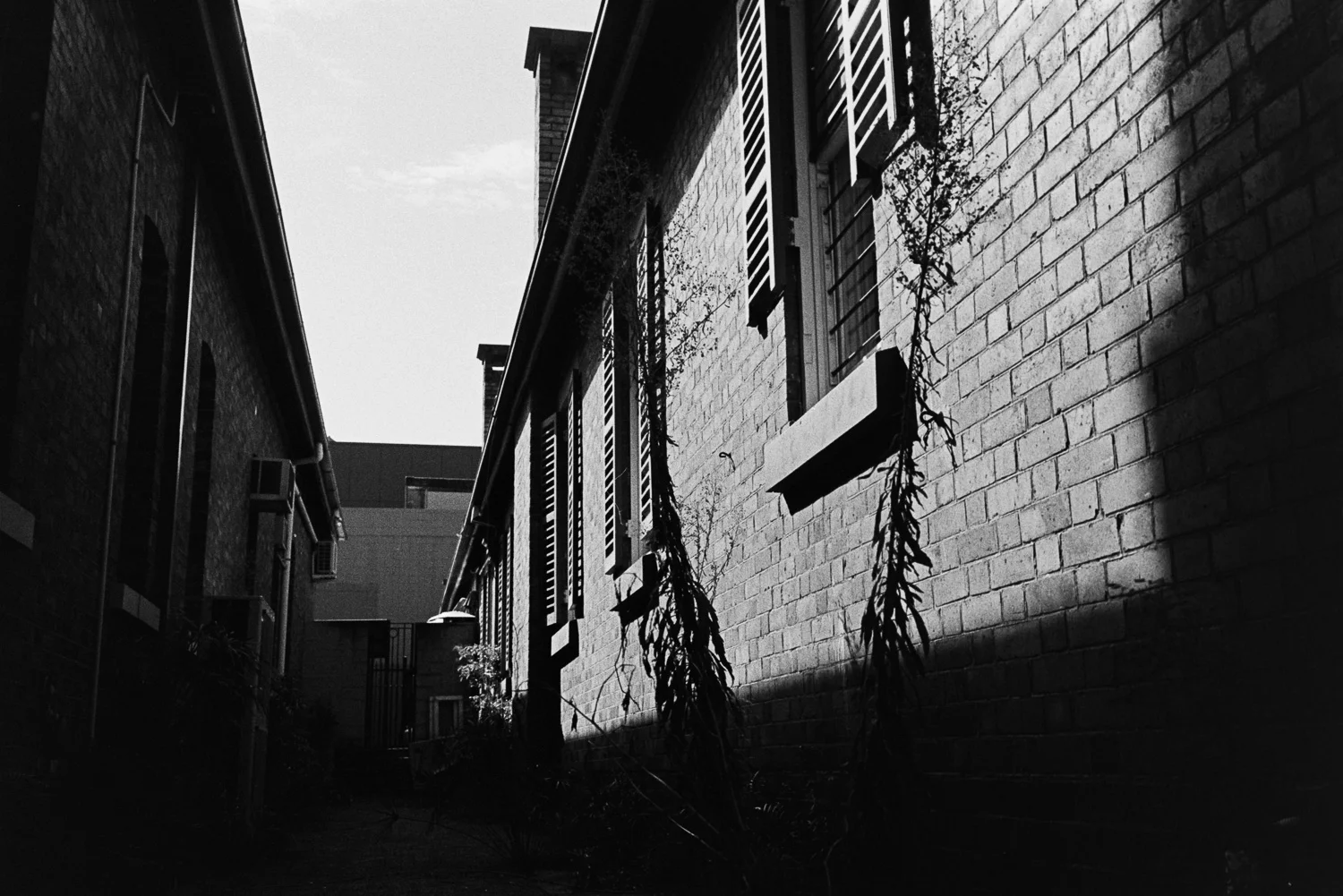 20170326_ROLL_125_023-Nick-Bedford,-Photographer-Black and White, Brisbane, Film, Kodak Tri-X 400, Leica M7, Rodinal, Street Photography.jpg