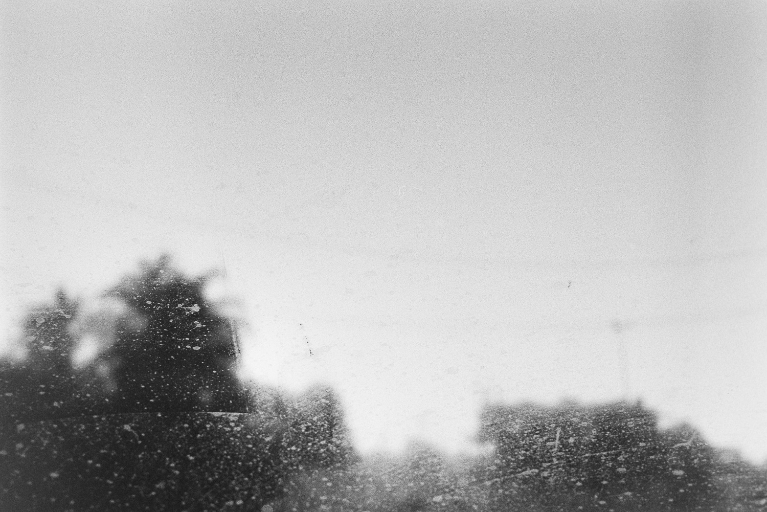 Winter car windows.