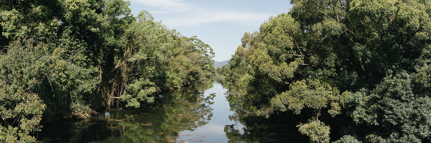 20170827_Murwillumbah_000041-Pano-Nick-Bedford,-Photographer-Landscape, Leica M Typ 240, Murwillumbah, New South Wales, NSW, Voigtlander 35mm F1.7 Ultron, VSCO Film.jpg
