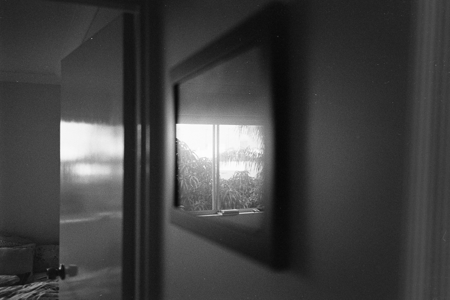 This would be nice light for a portrait.