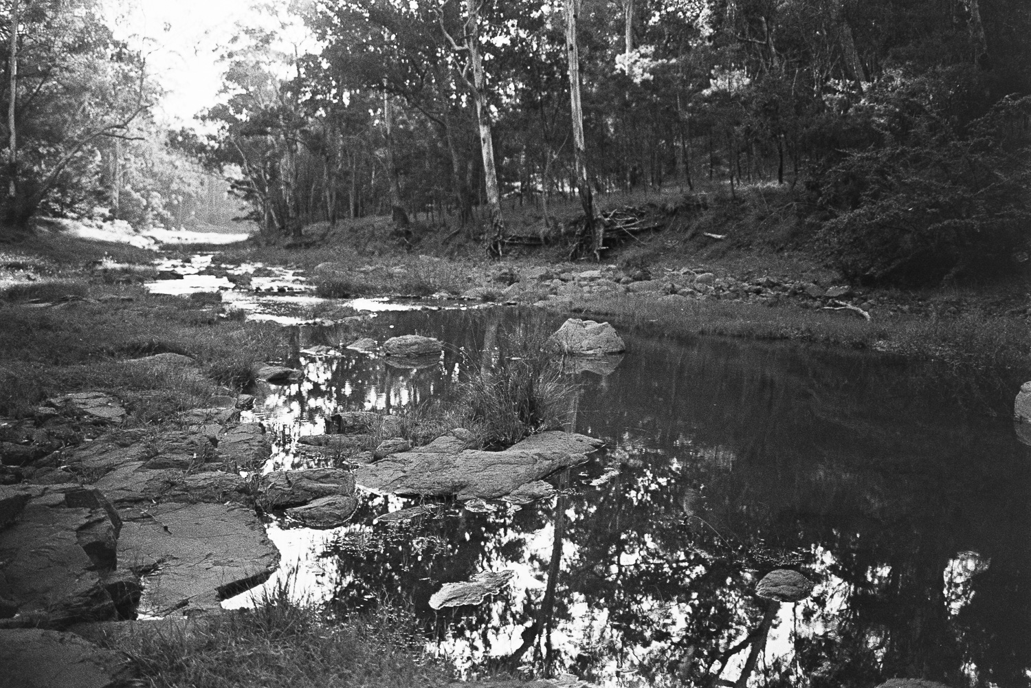 Gordon Country camping near the creek.