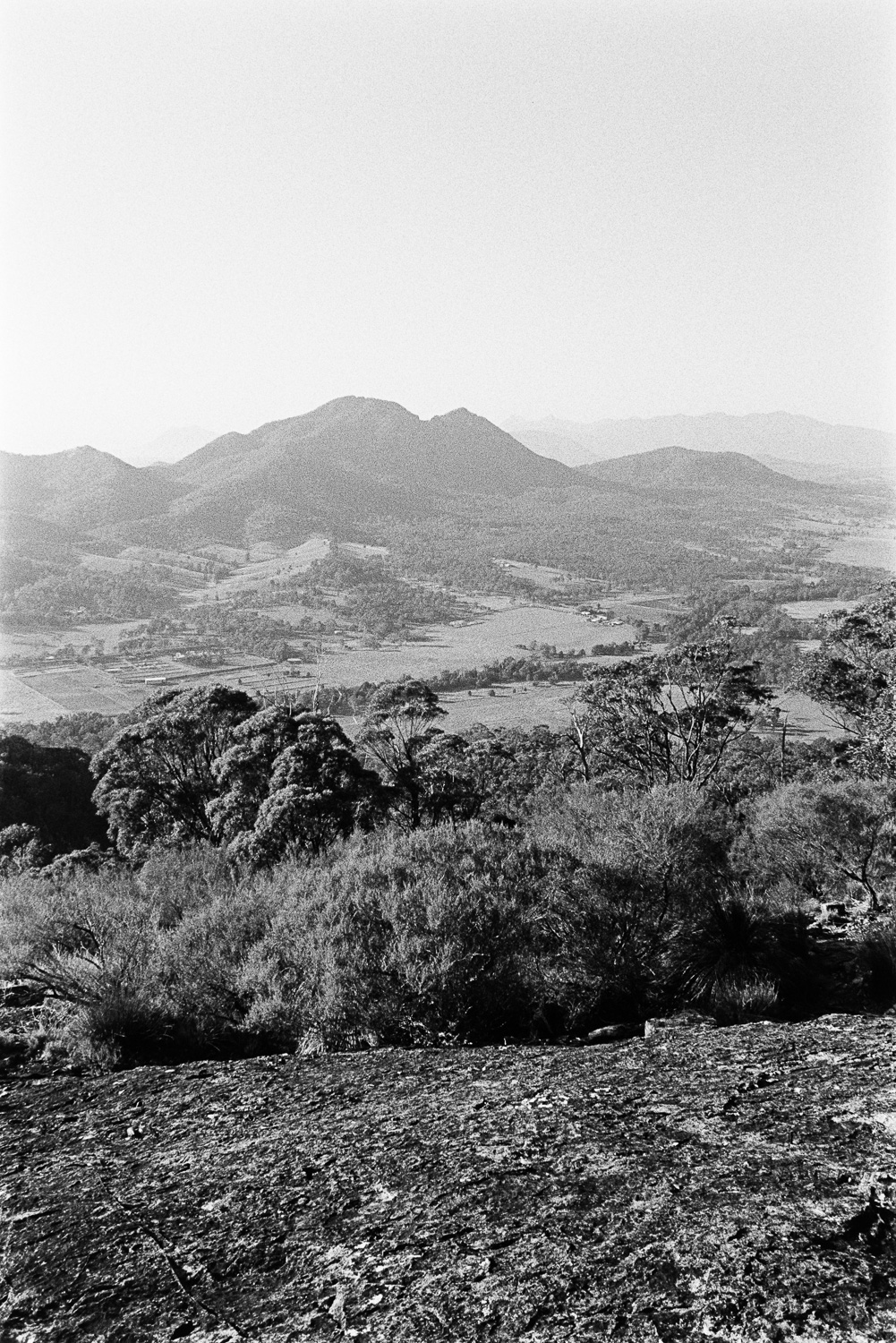  Mount Greville on 28mm TRI-X. 