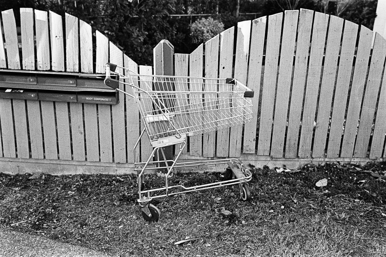  I swear I see abandoned shopping carts everywhere now. 