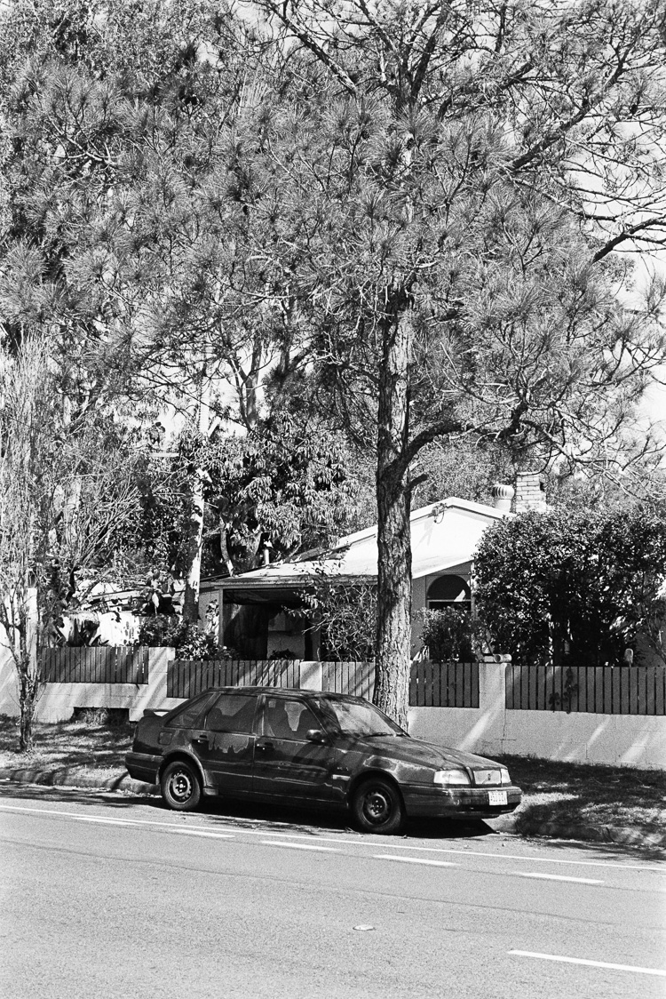  Untitled tree car shot. 