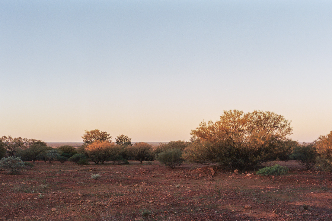 Arrived just out of Thargomindah by sunset.