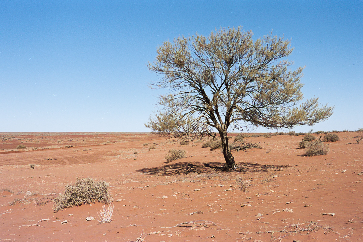 There isn’t much in the desert.