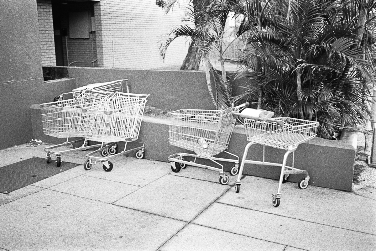  A group of trolleyus, found on my last days in Indooroopilly. 